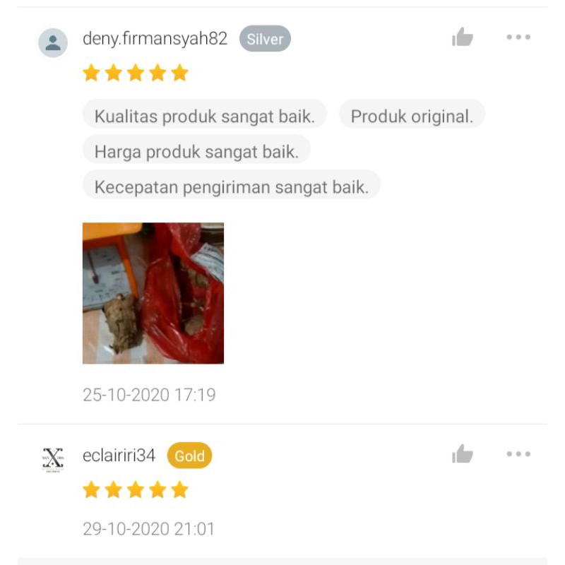 Temulawak 1kg Temulawak Segar Curcuma