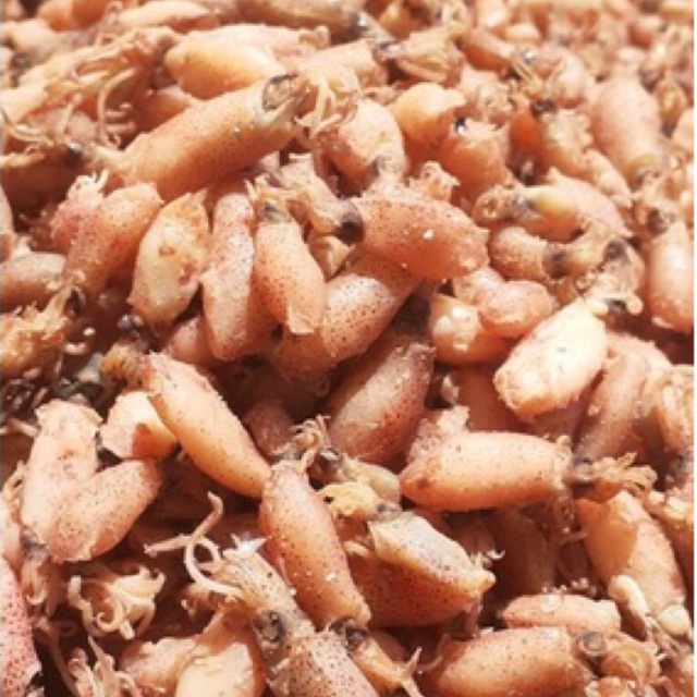 

BABY CUMI 500gr 1/2kg