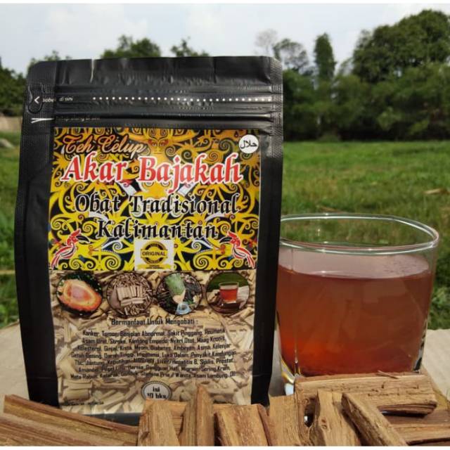 

TEH CELUP AKAR BAJAKAH ASLI KALIMANTAN MURNI 100% - 1 PAK ISI 10 SASET - PRODUK ORIGINAL