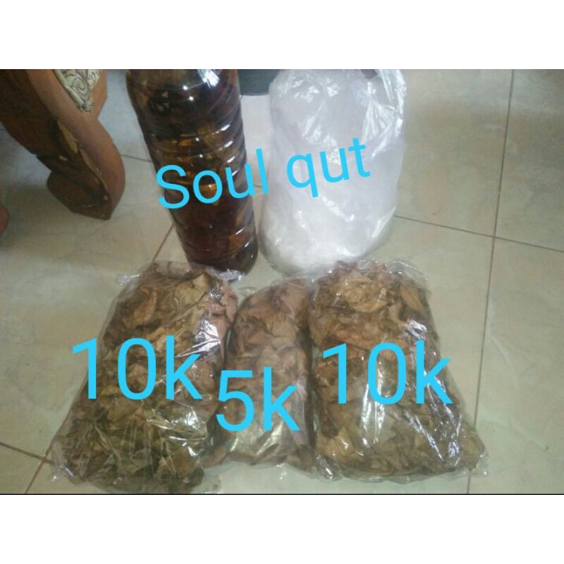 

daun ketapang