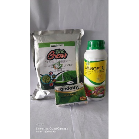 zinc padi ( PAKET zinc grow aminofol andavit ) ( paket asem-asemen padi ) ( padi kerdil ) ( pupuk ma