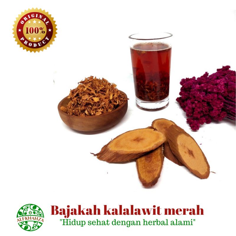 

Akar bajakah kalalawit merah rajang /serbuk original 250gram