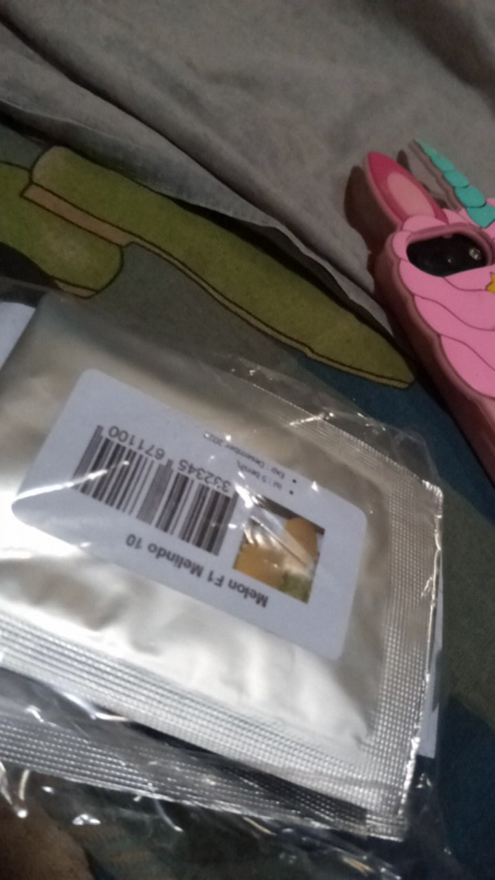 Melon Honeydew Orange 10 Benih