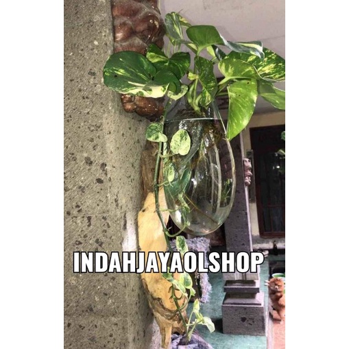 Pot Aquarium Cupang vas Bunga Kaca Tiup