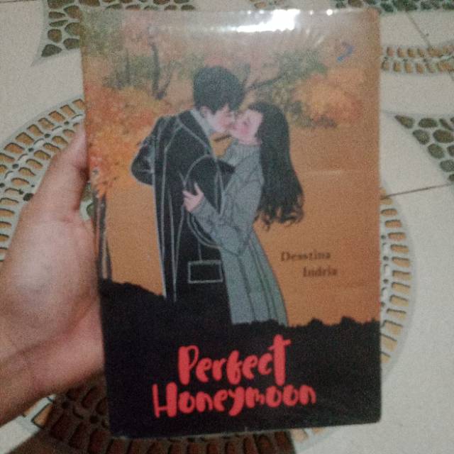 Novel Perfect Honeymoon
