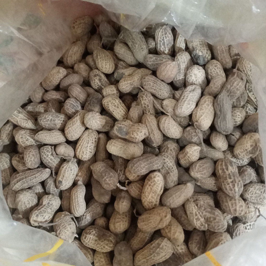 

Cemilan Kue Kering Kacang Kulit Sangrai 500gr 250gr