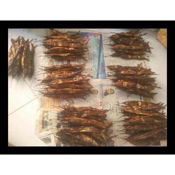 

Ikan Roa /Gepe Isi 20 Ekor Teruji