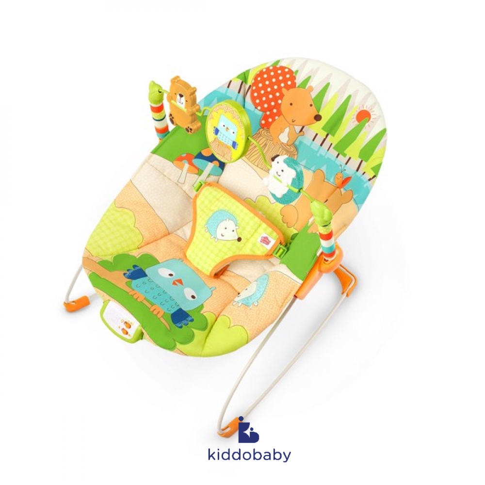 Bright Starts Little Explorer Bouncer | Kursi Duduk Ayunan Bayi