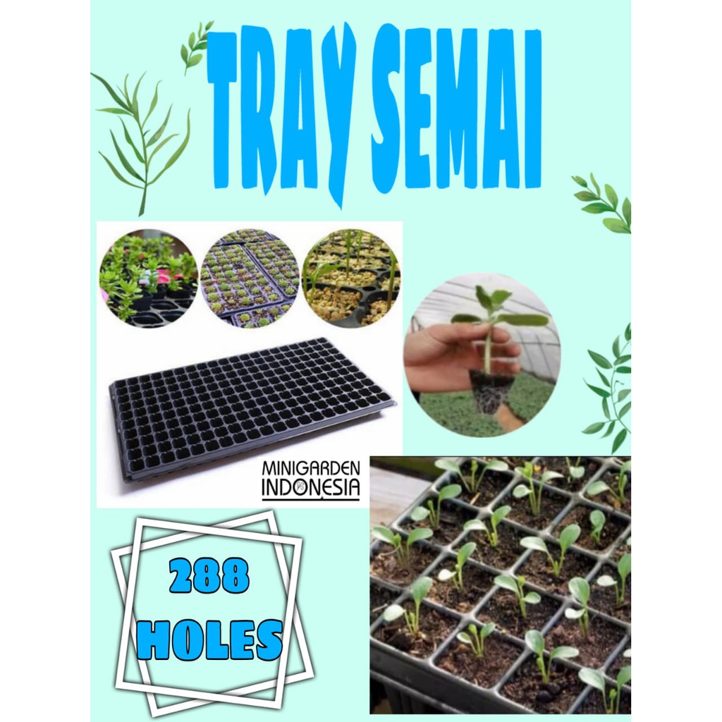 TRAY SEMAI POT TRAY 288 LUBANG Traypot Bibit Biji Nampan Benih Seedling pot Hidroponik tanaman