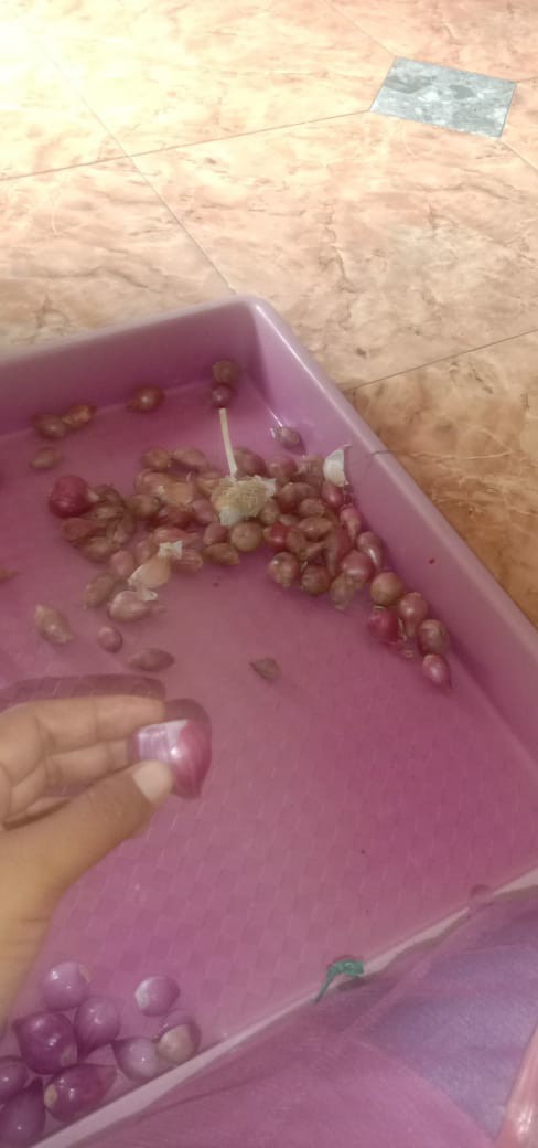 Tutup Galon Anti Tumpah Biru Praktis Efisien Model Baru