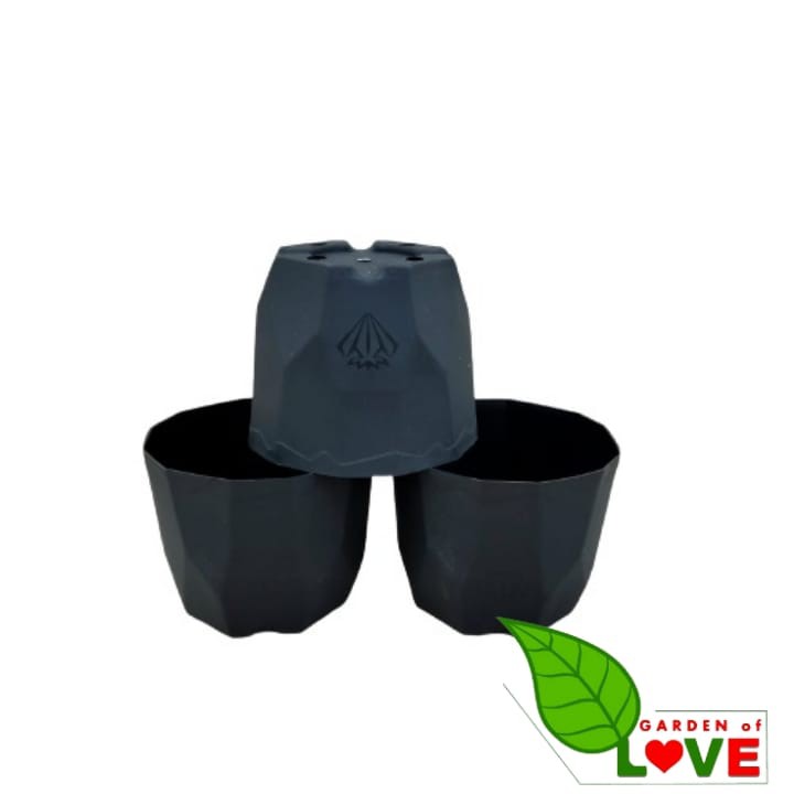 Rajaindobekasi Pot Permata 12 Hitam DA 10,5cm Garden Of Love Pot Plastik Kaktus Murah Uk Mirip Pot Tawon 10 12 cm