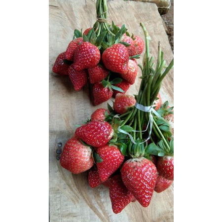 

Strawberry mencir fresh