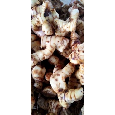 

lawasbumbu masak