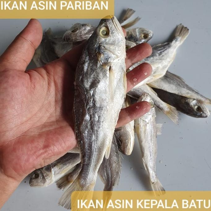

[COD] IKAN ASIN KEPALA BATU - 500 GRAM [COD]