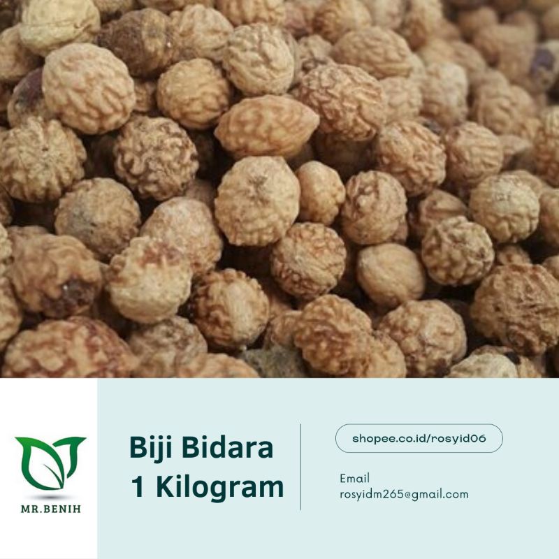 BIJI BIDARA ARAB CANGKANG 1 KG