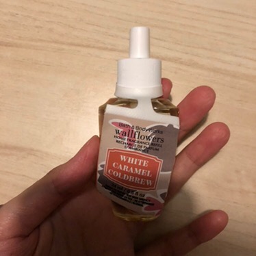 Bulb / Refill Wallflower (042019)