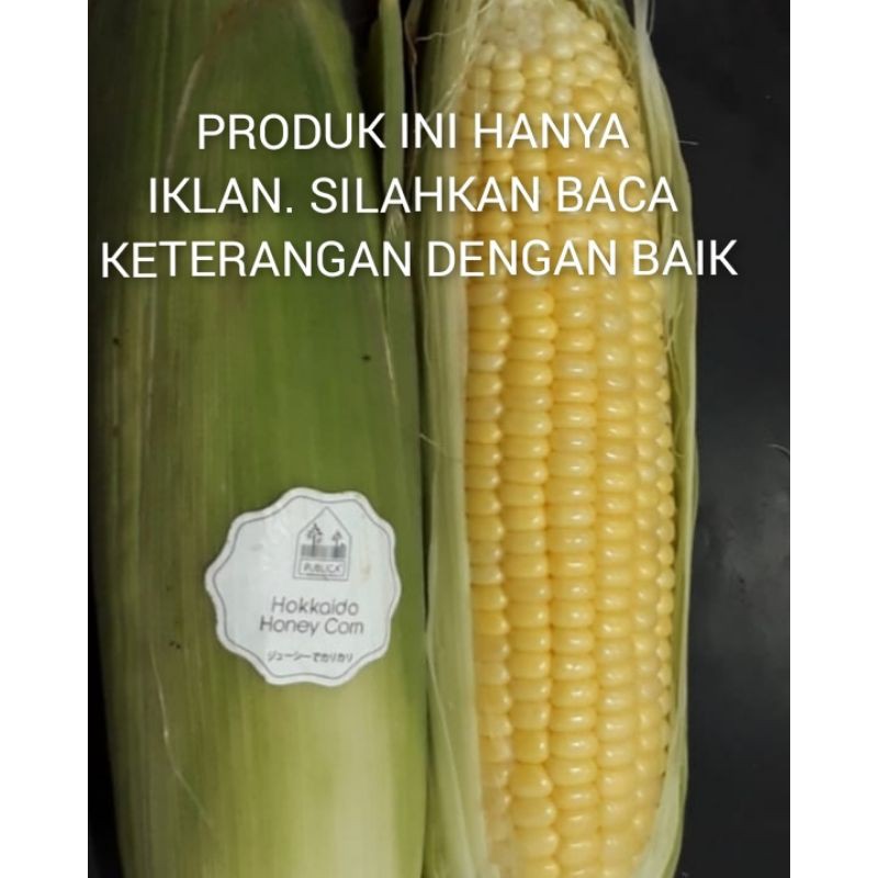 

JAGUNG HOKKAIDO ( Hokkaido Honey corn) Produk iklan