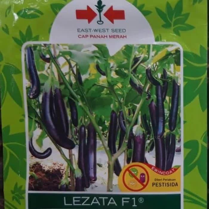 Benih / Bibit Terong Panjang Lezata F1