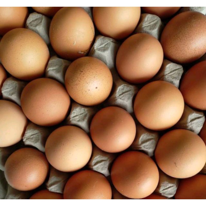 

Telur ayam
