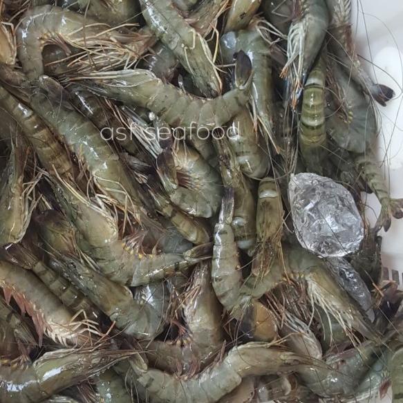 

♕ udang reguler 40-50 ☼