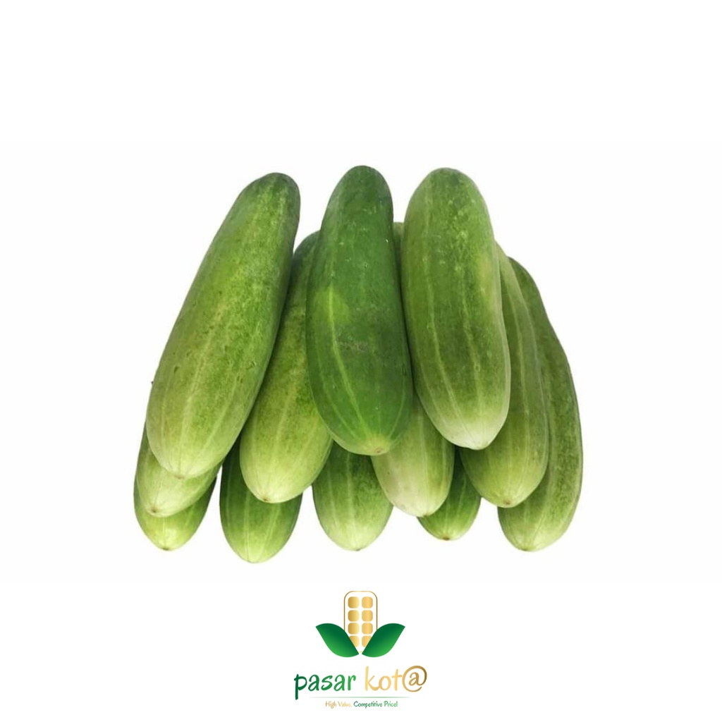 

TIMUN LALAP 1KG
