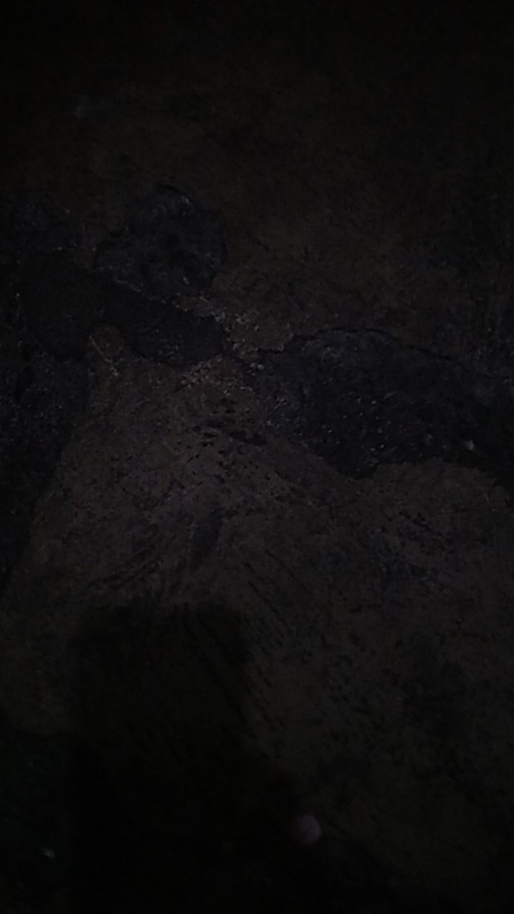 Mata Gergaji Triplek Ukir pinguin