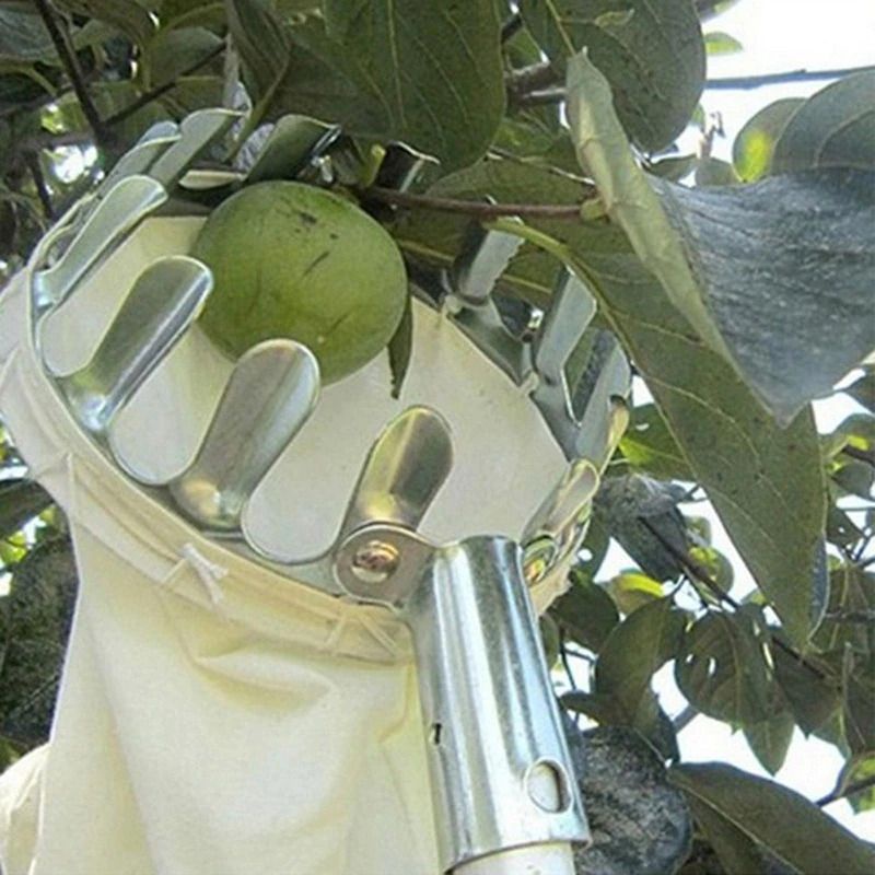 Alat Pemetik Buah - berkebun - fruit picker