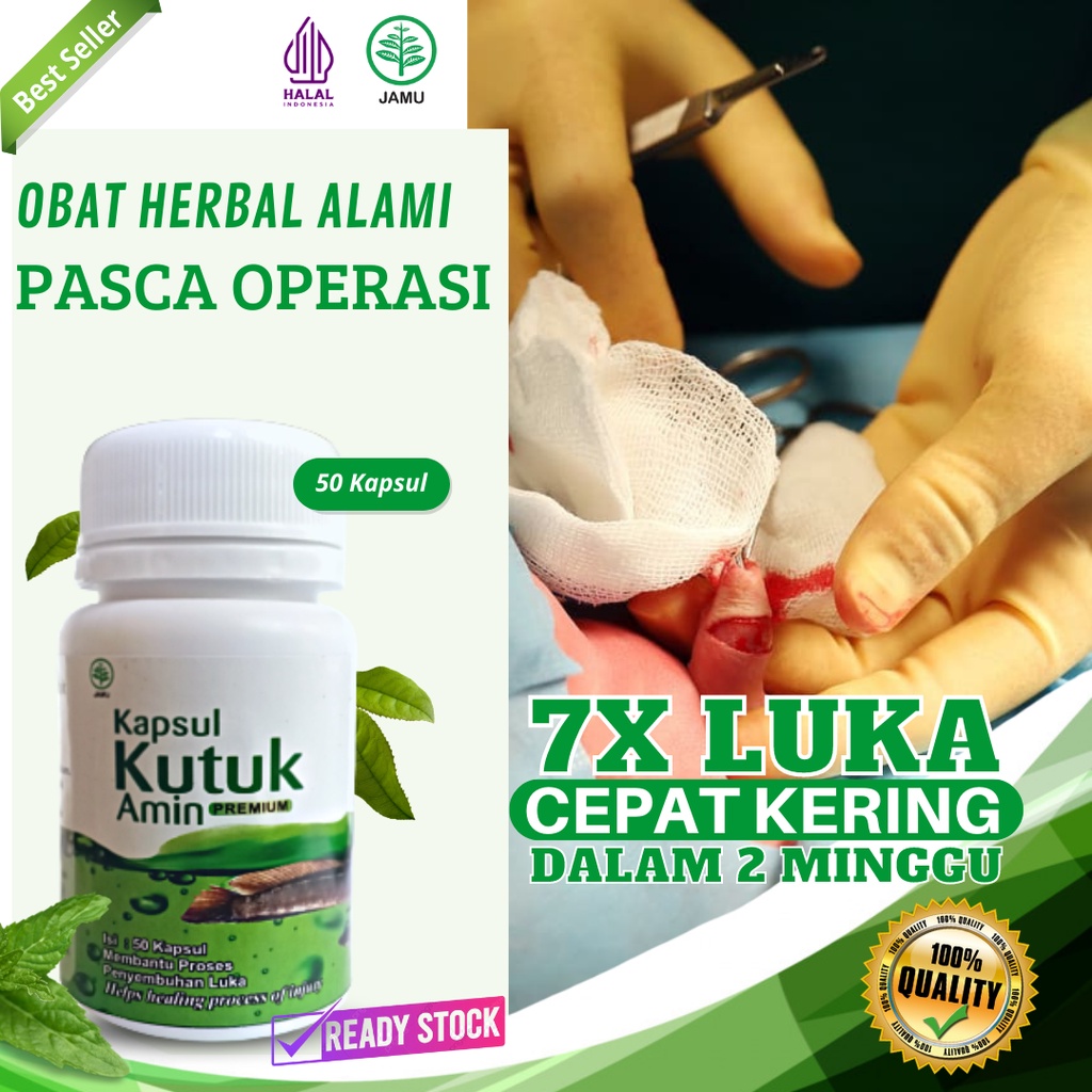 Kapsul Kutuk Amin Premium Asli 100 Original Pro Albumin Kapsul Ikan Gabus Pasca Operasi