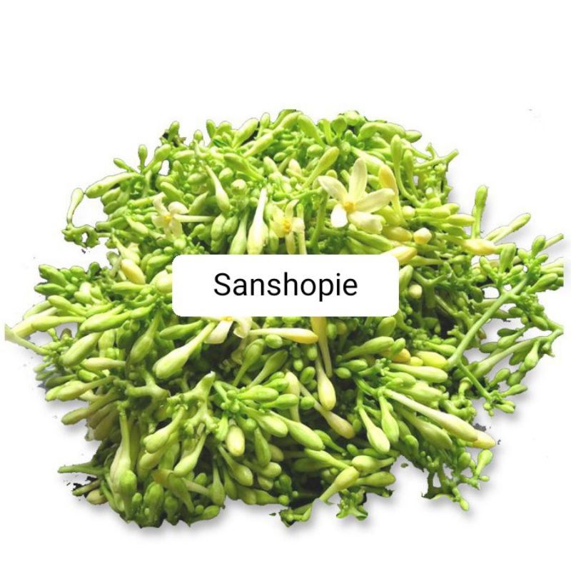 

RB22 Bunga pepaya jantan segar fresh paket 500 gram