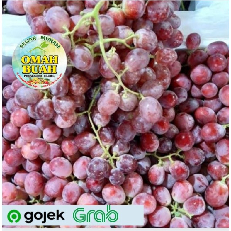 Anggur Red Globe 250 gram-1 Kg