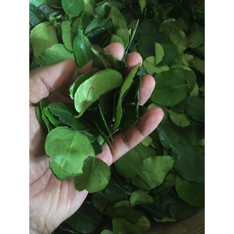 Daun jeruk kemasan plastik kecil