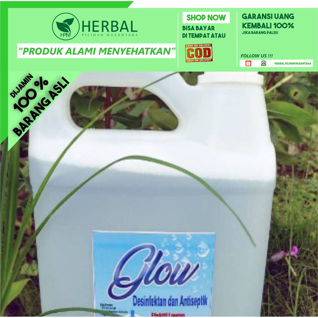 Glow Disinfektan 5 Liter