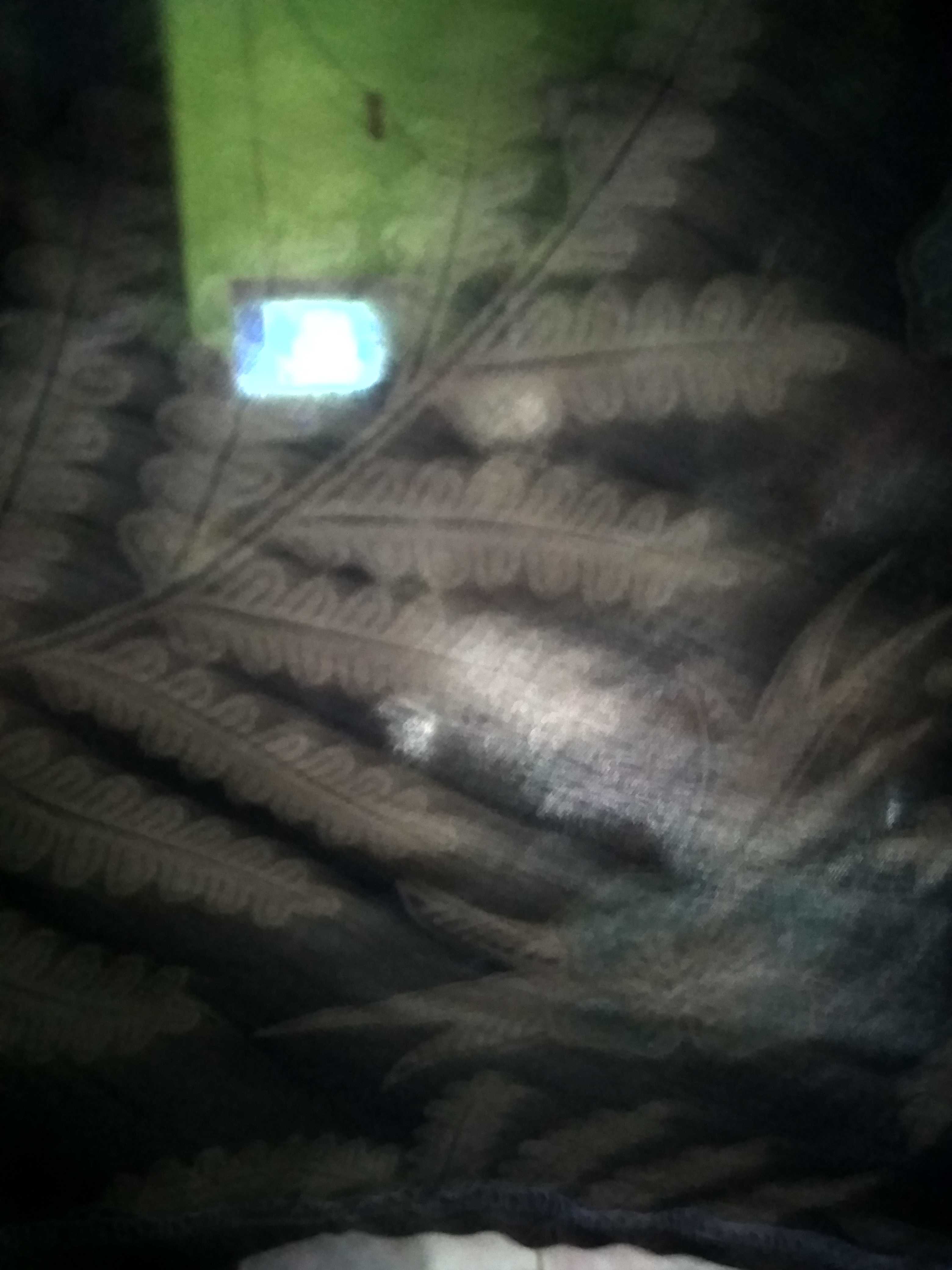 Men Sale Kemeja Batik Slimfit Modern Best Quality Atasan Couple Standar Butik Motif Daun Navy