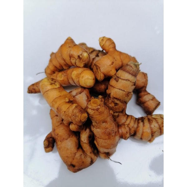 

kunyit segar 1kg/rempah rempah