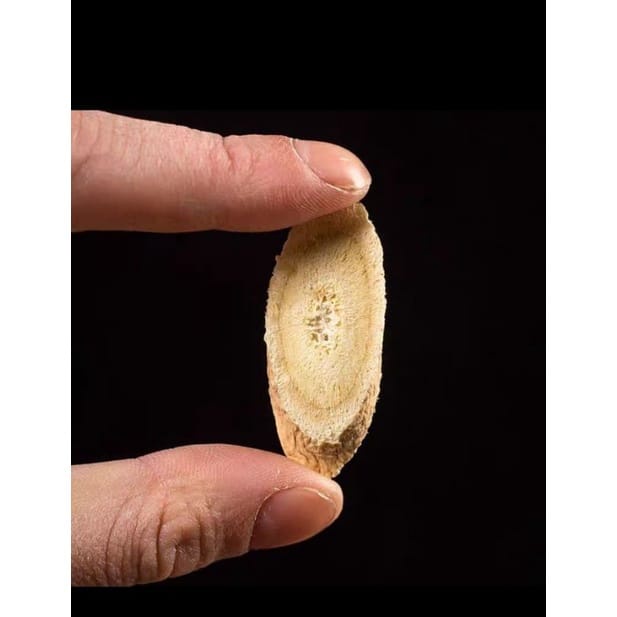 

HUANG QI Astragalus Membranaceus root rea huangqi HUANGQI PAK KHI ENG KI WILD ASTRAGALUS BEI QI