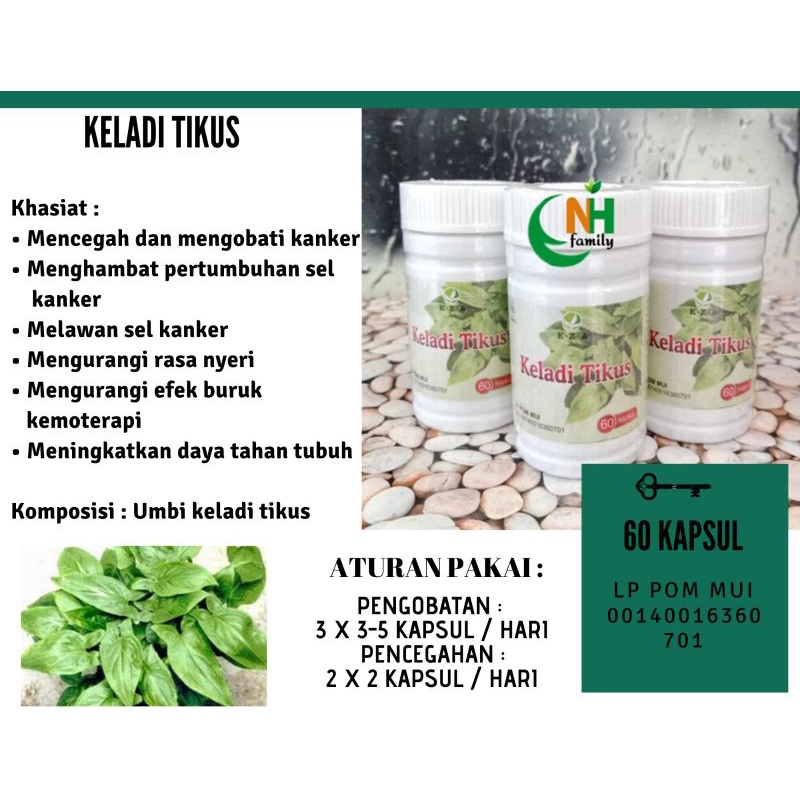 Keladi tikus 60 kapsul