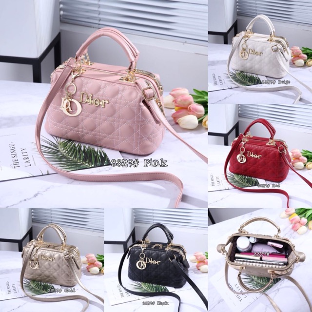 Christian Dior Doktor Bag