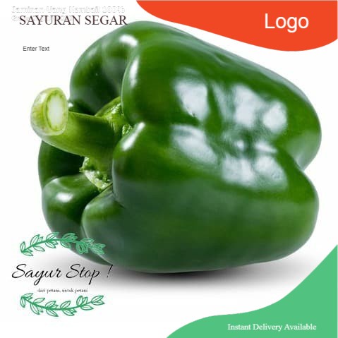 

Paprika Hijau 1 pcs