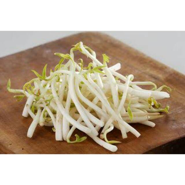 

TAUGE | TOGE | KECAMBAH | SAYURAN SEGAR