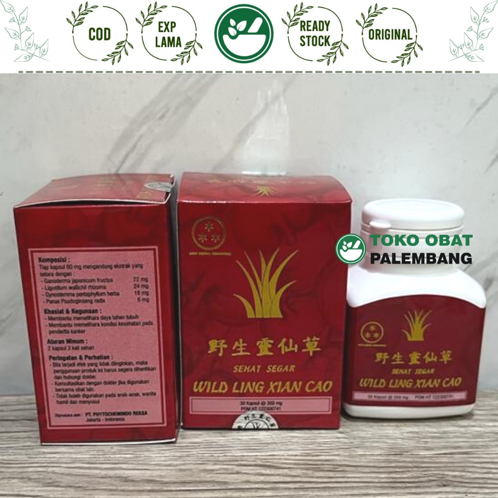 WILD LING XIAN CAO 30 KAPSUL SEHAT SEGAR OBAT KANKER WILDLING XIANCAO
