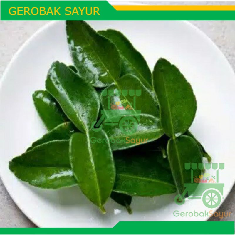 

Daun Jeruk