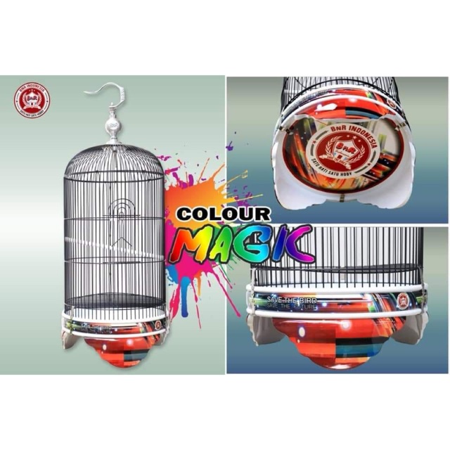 SANGKAR LOVEBIRD BnR TERBARU COLOUR MAGIC