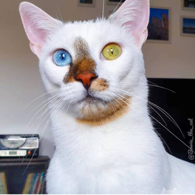 alleyesonmee