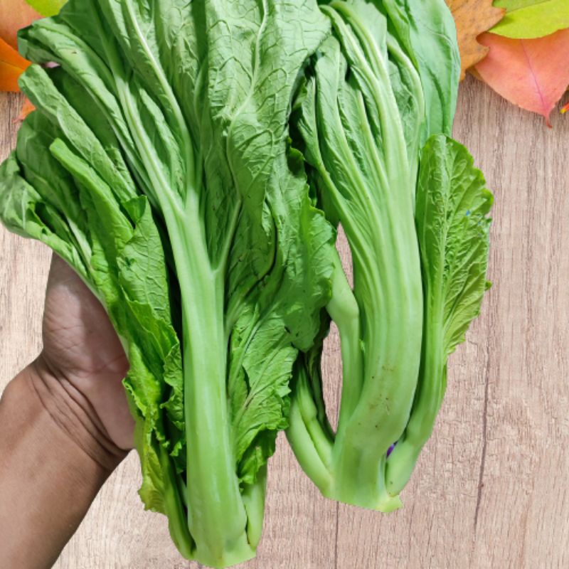 

Sayur Sawi Pahit 250gr