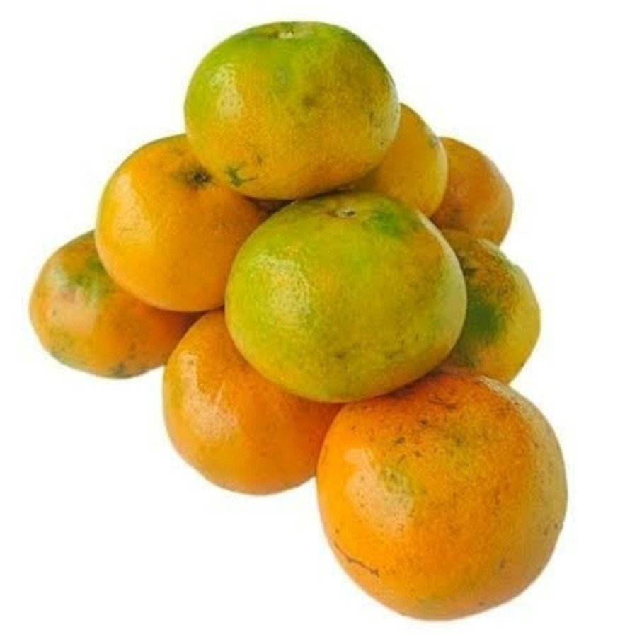 

Buah JERUK MEDAN Fresh 500gr Buah Orange Medan Segar 500gr