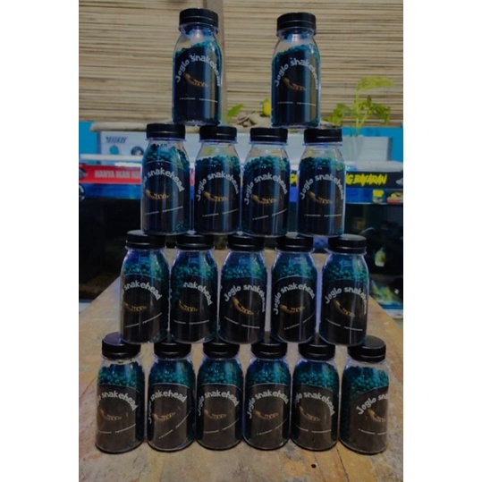 pelet joglo snakehead varian blue