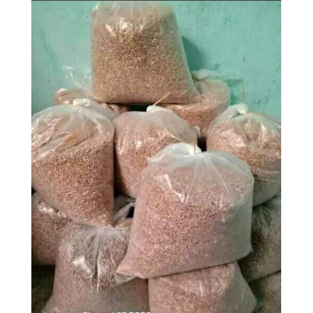 

Sagu butir sagu rendang 1.000 gr dari pokok rumbia tanjung pinang