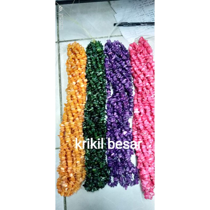 krikil kerang besar