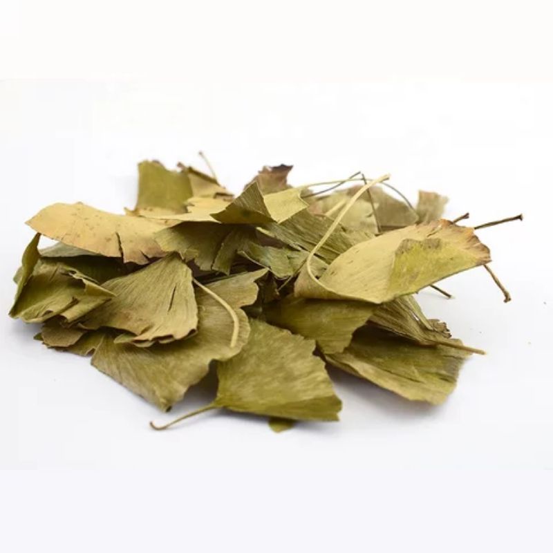 Ginkgo Leaf Tea / Premium Dried Ginkgo Leaf Tea - 500 Gram