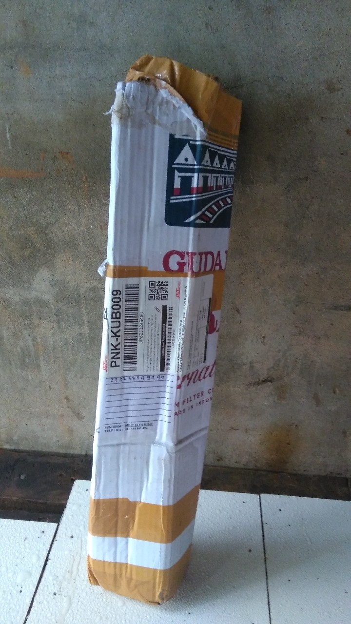 Bibit Kelengkeng Matalada Supermurah